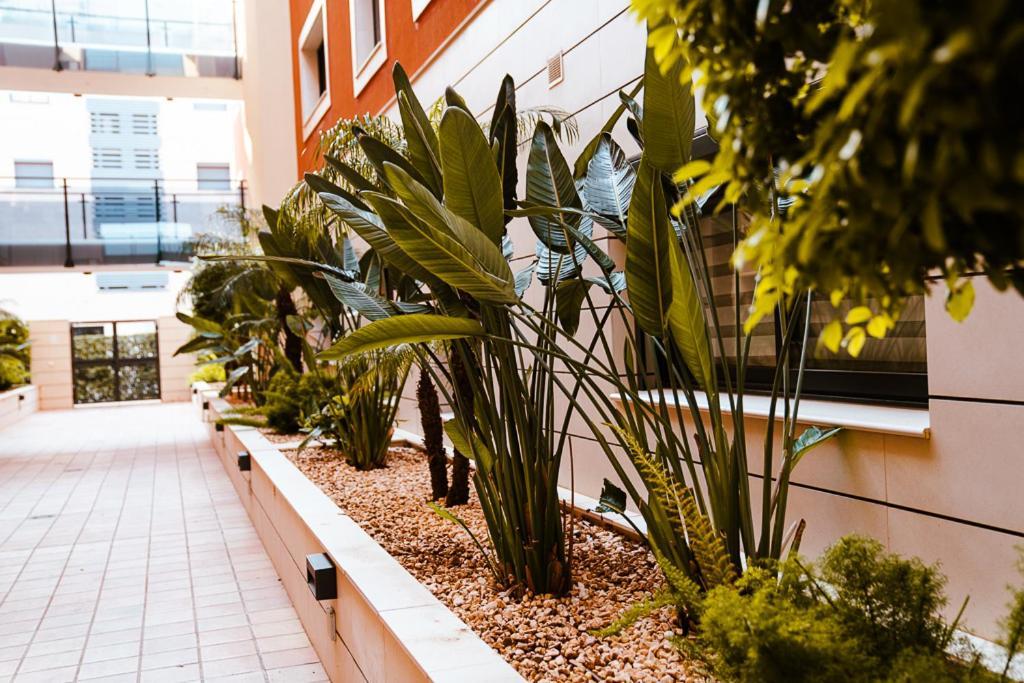 Apartament Sol Denia Zewnętrze zdjęcie